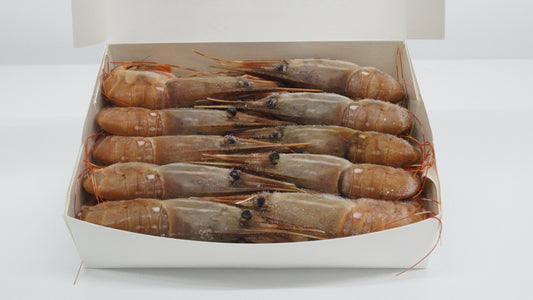 Whole Alaska Spot Prawns 1KG